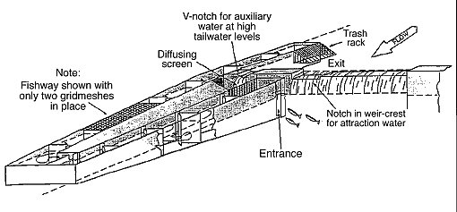 Example of a Fishway