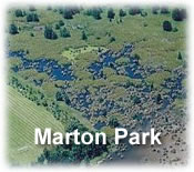 Marton Park