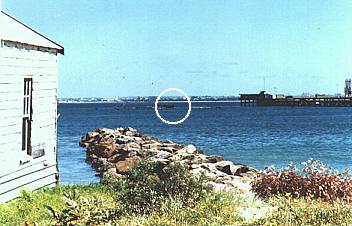 John Hedison's fish farm near the Caltex wharf at Kurnell supplies snapper and jewfish to Sydney restaurants, 1999.