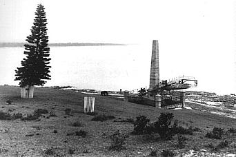 Tree planted by the Duke of Clarence, and Holt's wharf over what is now known as Cook's Rock. Remnants of the piers remain on that rock. Mitchell Library