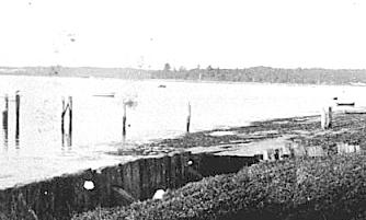 Remains of the Dampier Street Wharf. Also, the railway sleeper retaining wall constructed in 1936 in an attempt to control erosion of the foreshores. (Photo: Betty Jacobs)