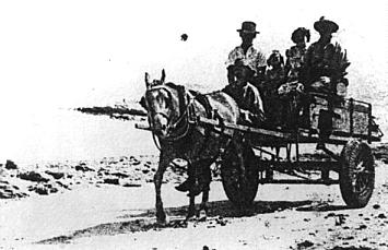 Mr Beaumaker and his horse-drawn taxi near the Dampier Street wharf on Prince Charles Parade. Beaumaker also used this vehicle as Kurnell's first fire brigade. (Photo: Fred Bell)