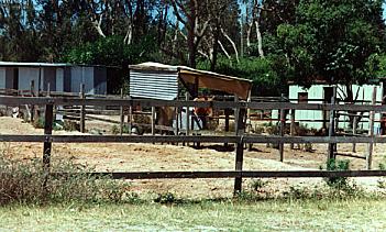 Stables adjoining Towra Point, 1999.