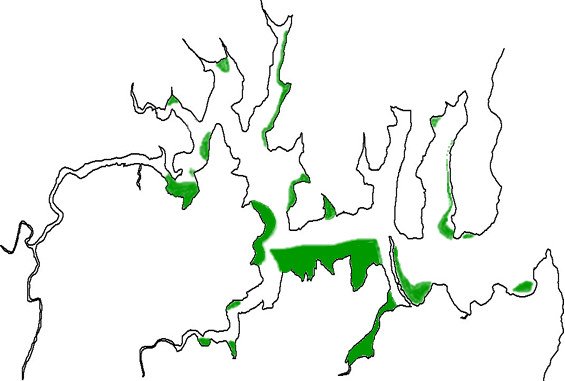 Seagrass areas in Port Hacking