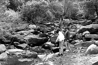 Japanese tourists noting the polluted nature of Camp Creek. Note dark staining from coal wash on rocks in the centre of the stream