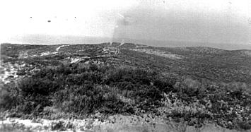 Vegetated dunes on the site of Caltex Refinery prior to commencement of construction, 1950. (Photo: George Blundell)
